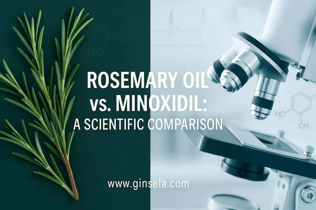 Rosemary Oil vs. Minoxidil: A Scientific Comparison Ginsela.com